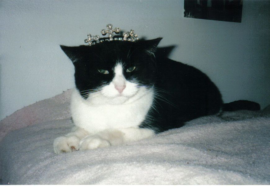 Sheba Tiara