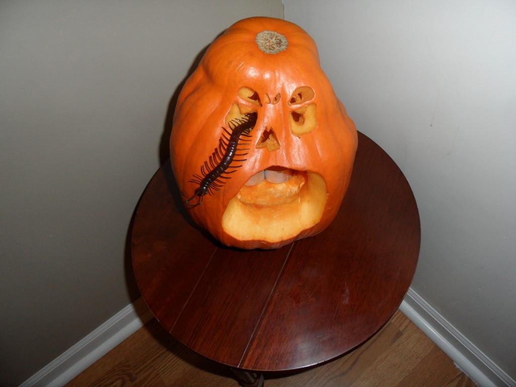 Jack o lantern with a bug crawling out of its eye Jack o lantern with a bug crawling out of its eye