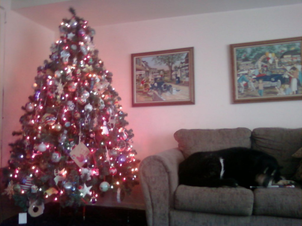 Sleeping dog Christmas tree