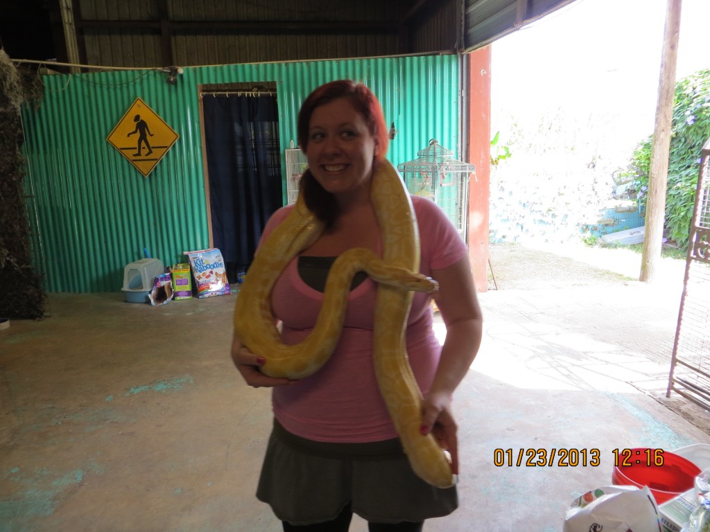 Wild animals at skunk ape research facility