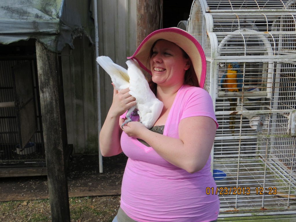 Wild animals at skunk ape research facility