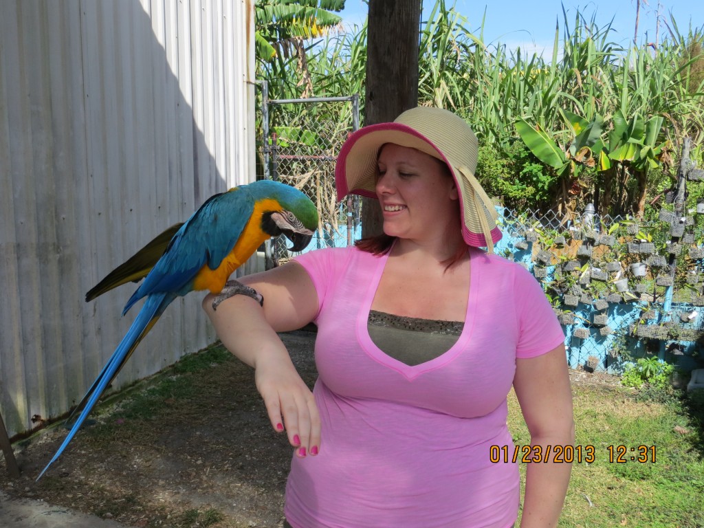 Wild animals at skunk ape research facility