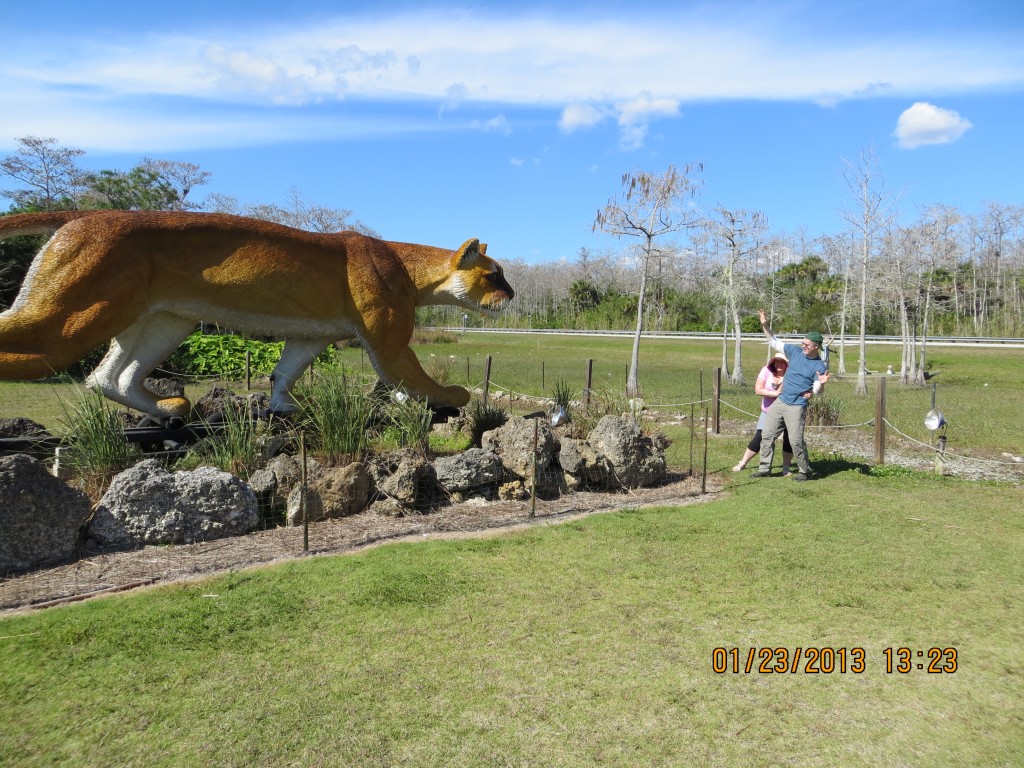 Wild animals at skunk ape research facility