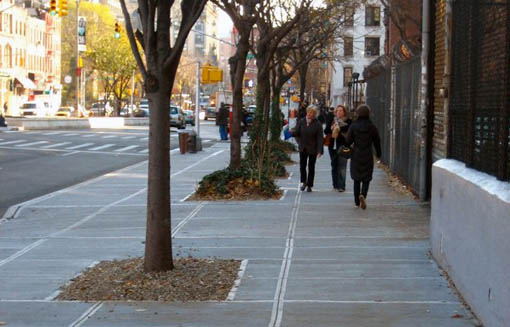 Sidewalk trees