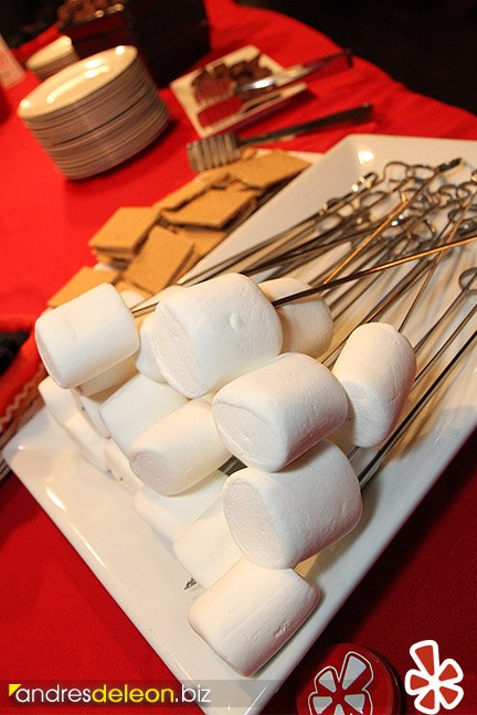 S'mores bar