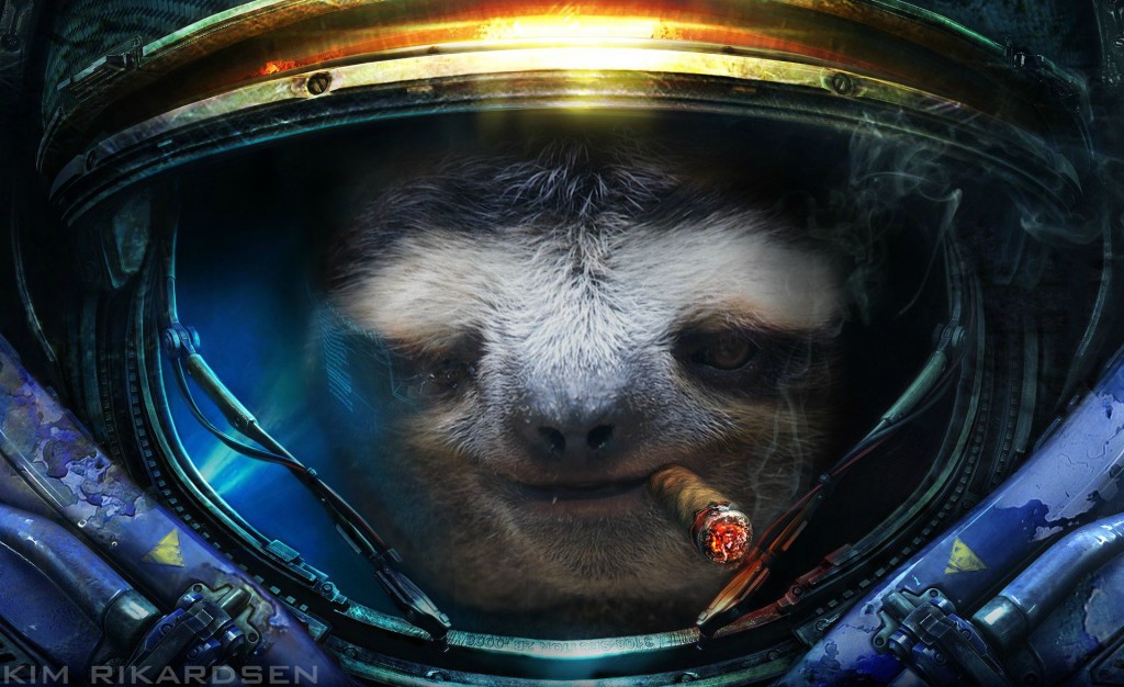 sloth in space suit