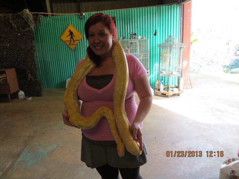 Cuddle a giant albino snake