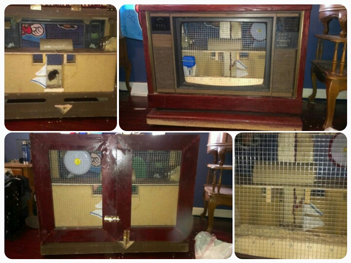 Hamstervision: Homemade Hamster Cages and Other Pet Palaces