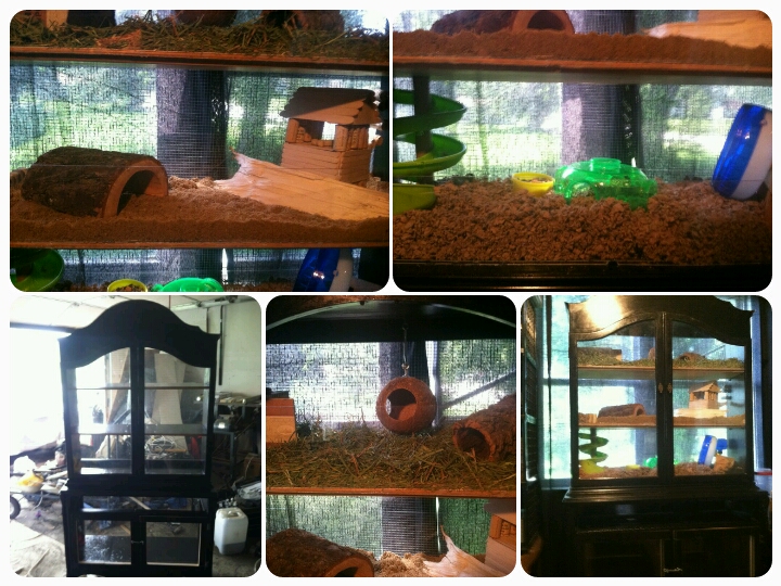 homemade hamster cages