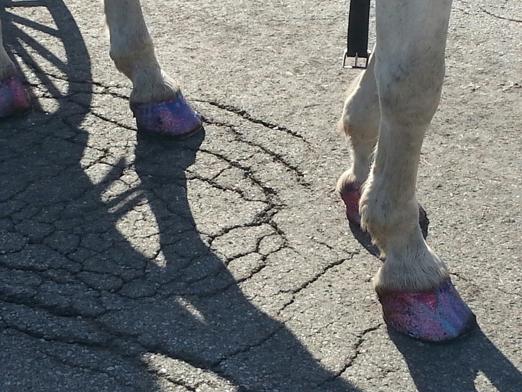 Pink sparkle horseshoes