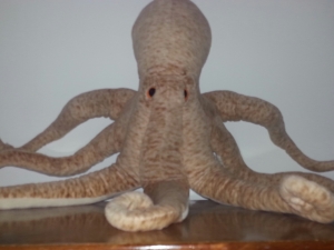 The Octopod