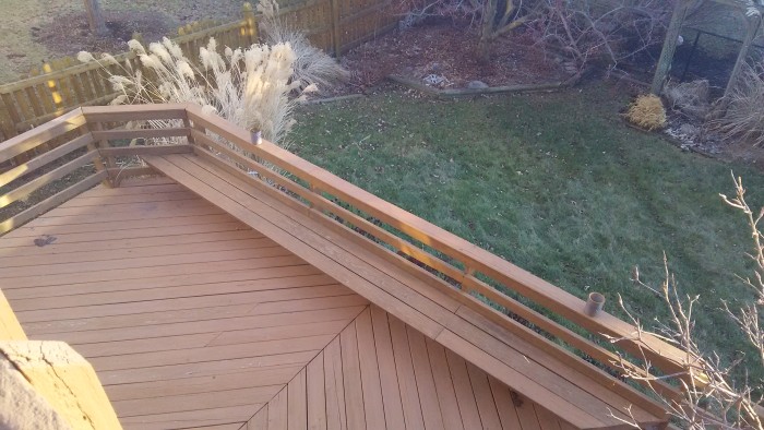 Backyard Photo captured with Sharp AQUOS Crystal