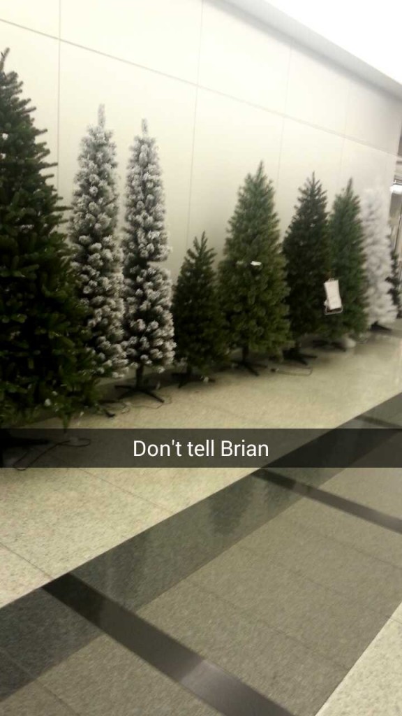 Sometimes I snap things Brian won't like