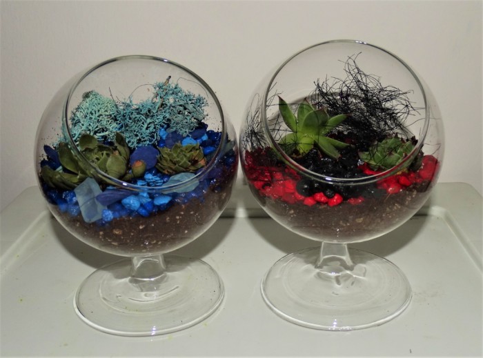 fire and ice terrarium