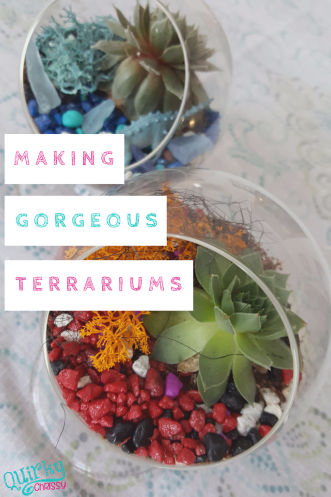 Making Gorgeous Terrariums