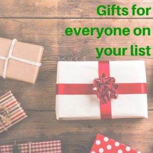 Gifts for everyone on your list a holiday gift guide