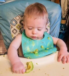Baby eating avocado in highchair with bib